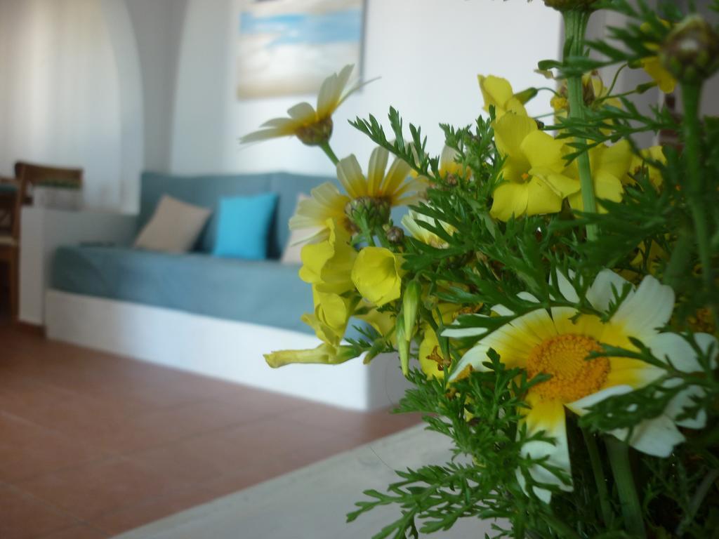 Villa Aelia Santorini Vóthon Oda fotoğraf
